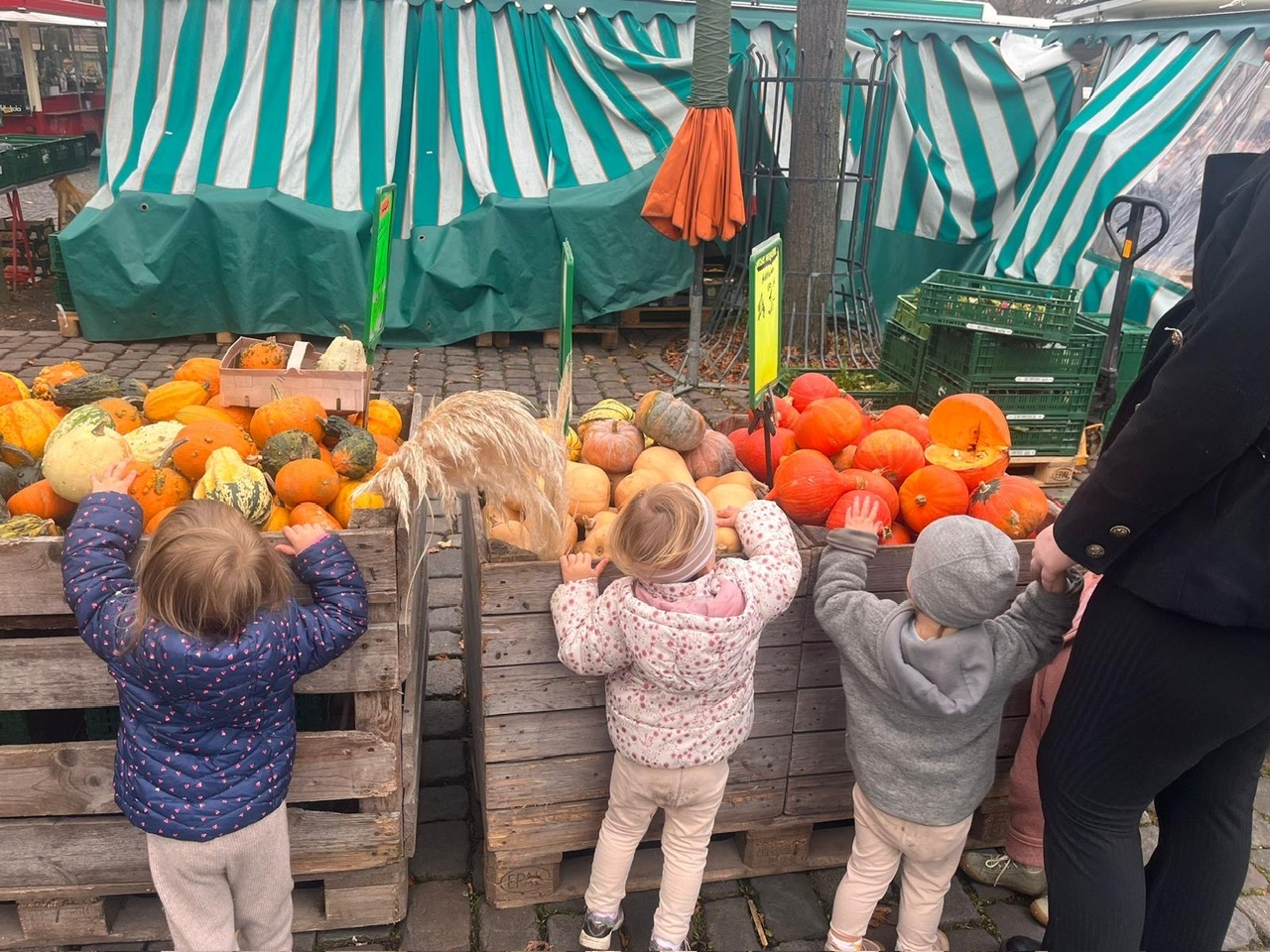 Kinder entdecken einen Marktstand mit Kürbissen